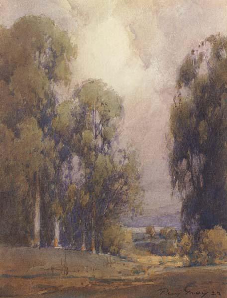 unknow artist Eucalyptus Landscape oil painting image